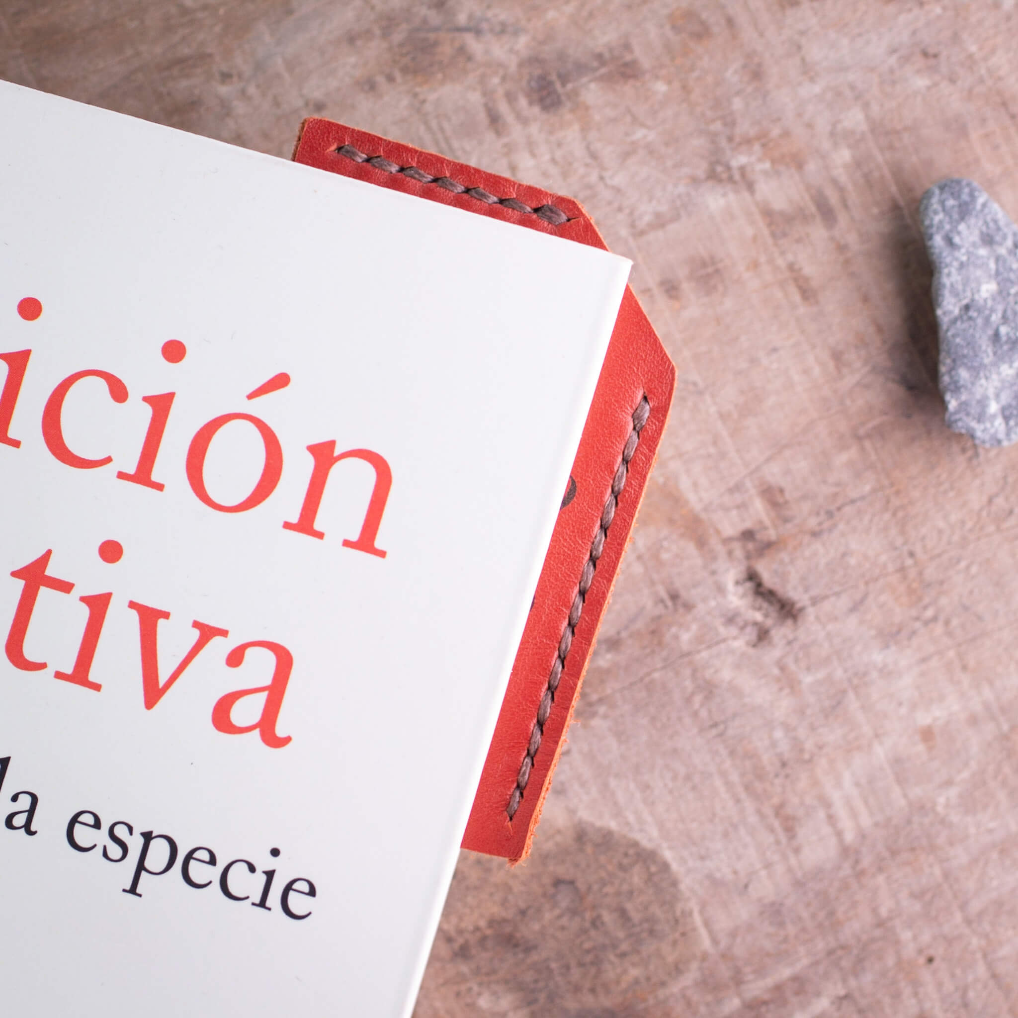 Frases em couro | Pacote de marcadores de 3 | da Equant